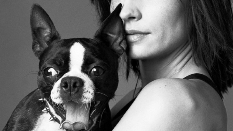 Famous Boston Terriers Famous Boston Terriers