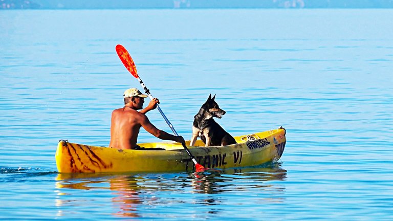 Dog Beach watersports Dog Beach watersports