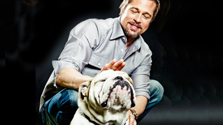 Bulldog Bulldog