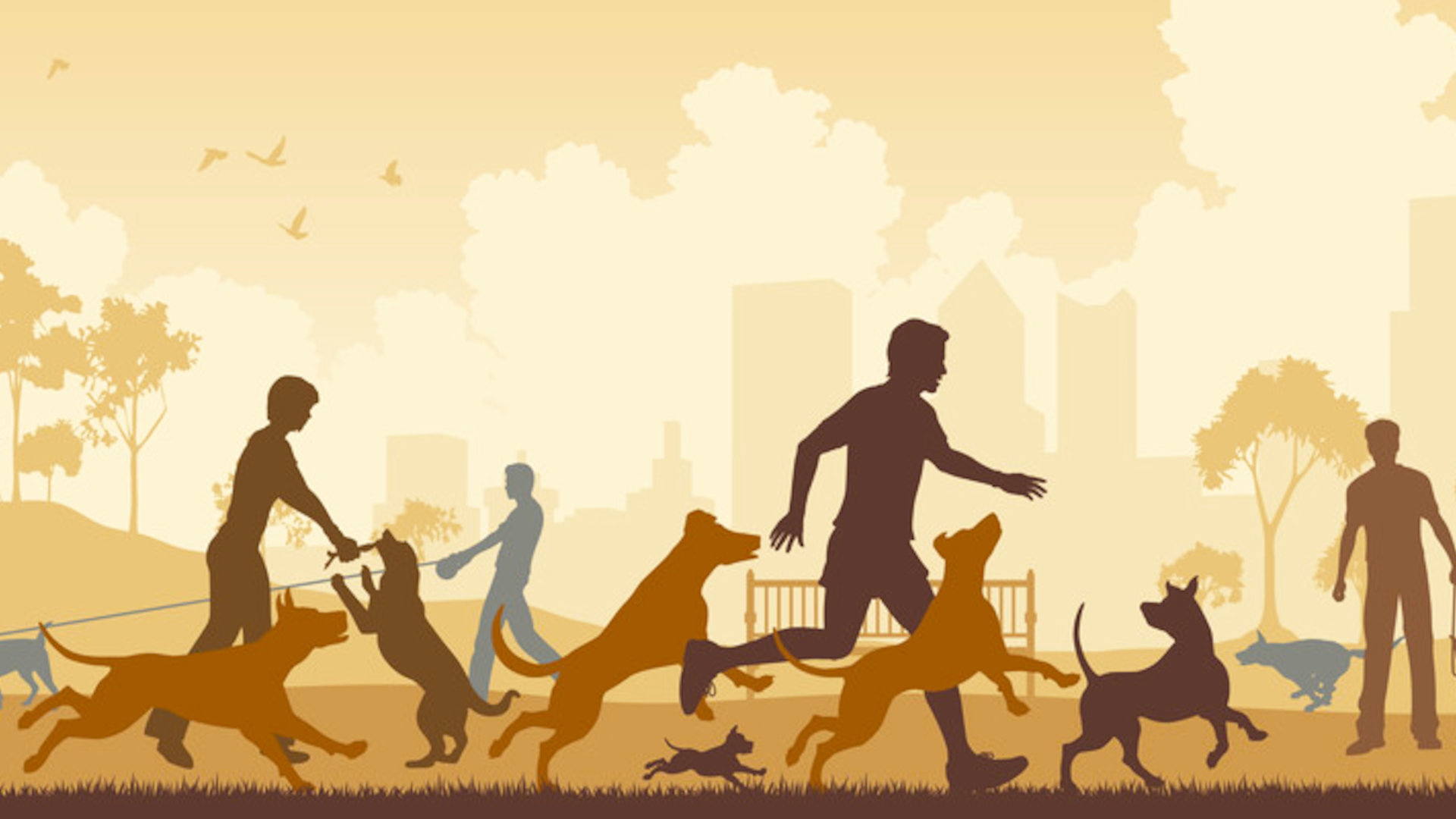 asda hero dry dog food