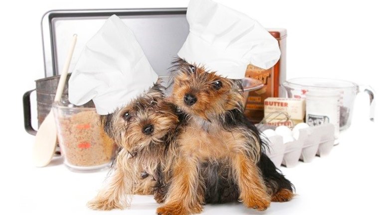 Homemade dog recipes must be nutritionally balanced