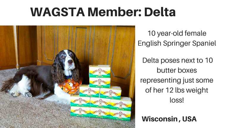 Wagsta member - Delta
