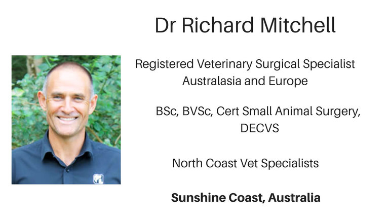 Dr Richard Mitchell