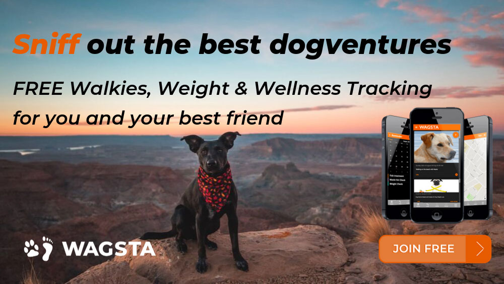 WAGSTA walkies, weight and wellness tracking app WAGSTA walkies, weight and wellness tracking app